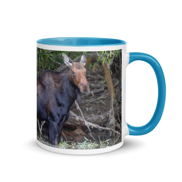 Portrait of a Mama Moose! Mug with Color Inside - Image 16