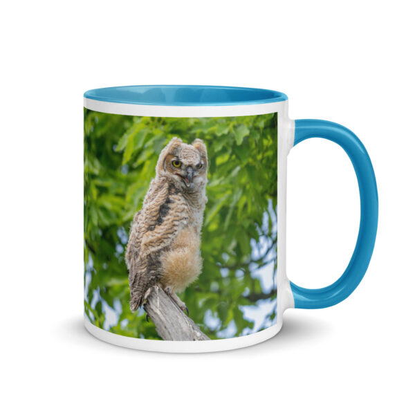 Baby Great horned owl! Mug with Color Inside - Image 16