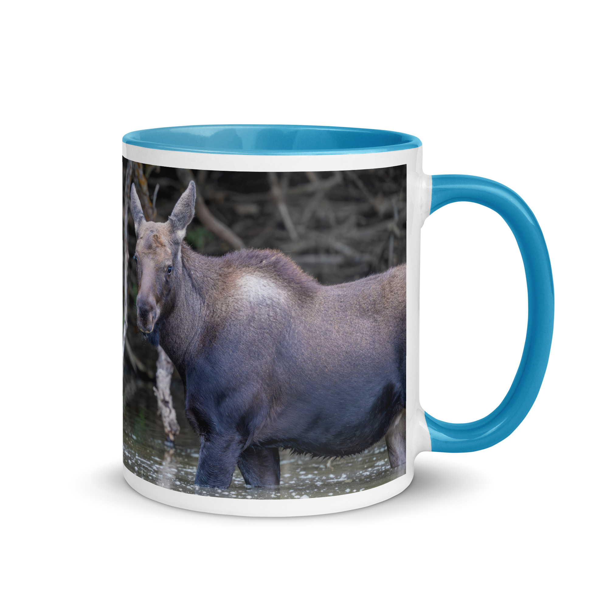 Baby Moose! Mug with Color Inside - Image 16