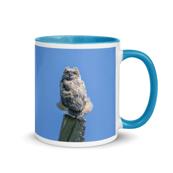 Baby Great horned owl!  Mug with Color Inside - Image 16