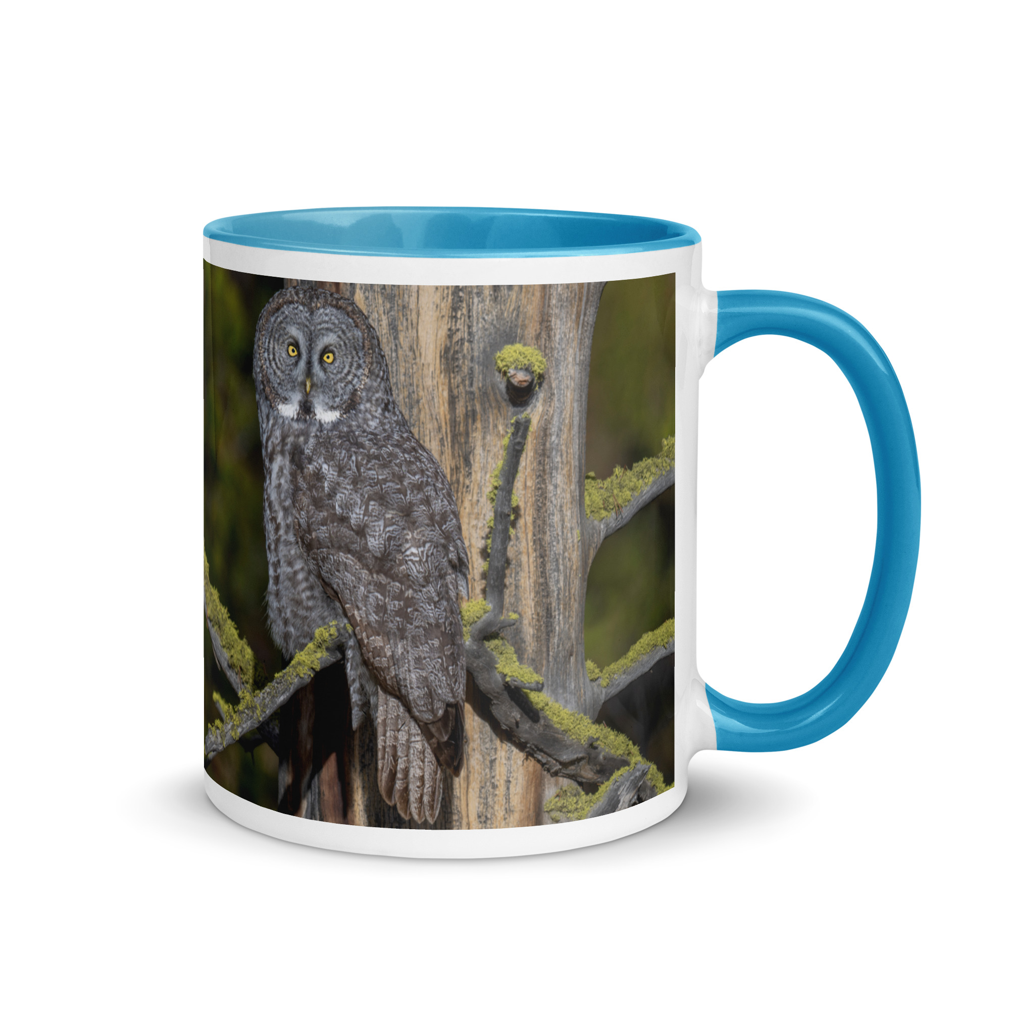 Great Grey Owl Basking in the Sun! Mug with Color Inside - Image 16