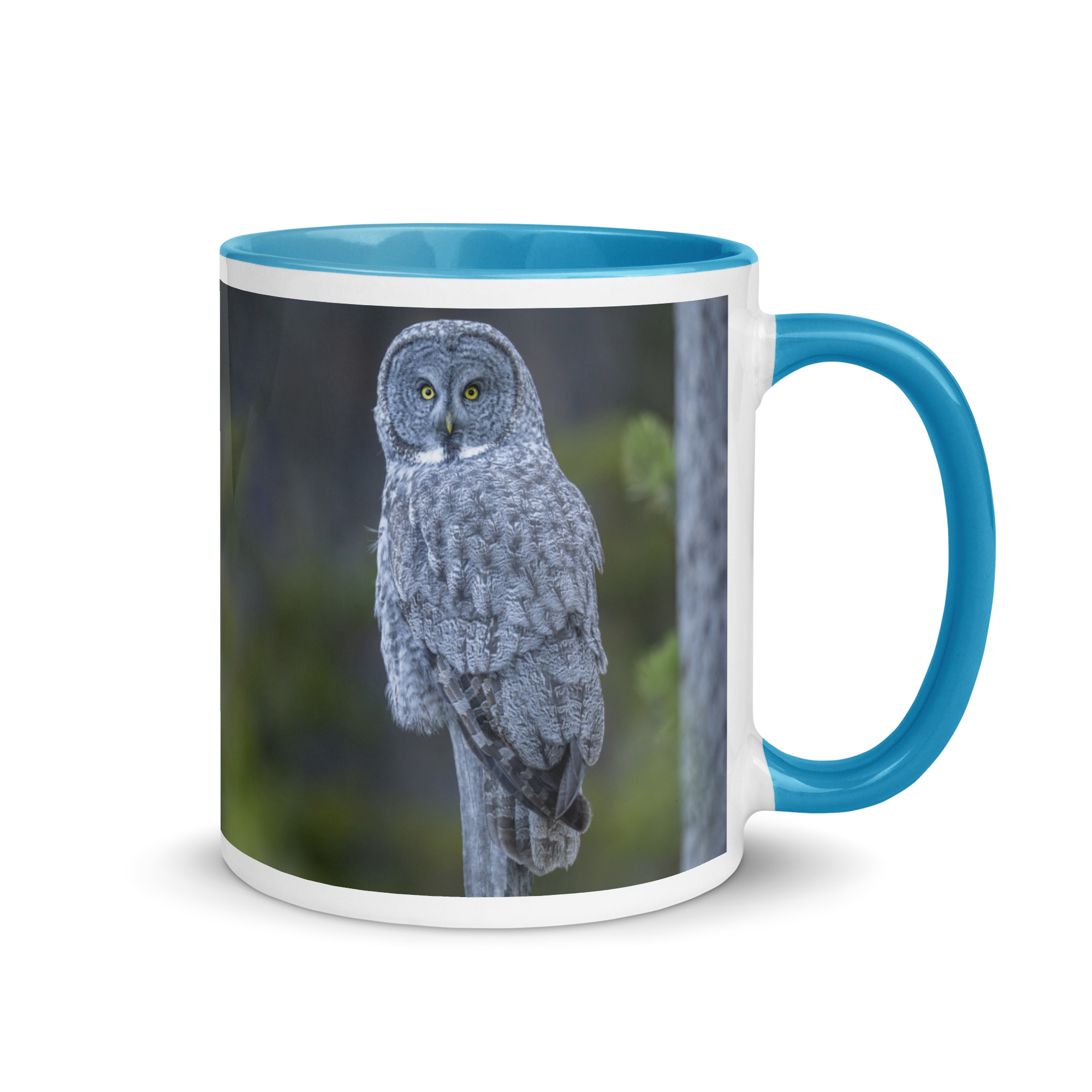Great Grey Owl! Mug with Color Inside - Image 16