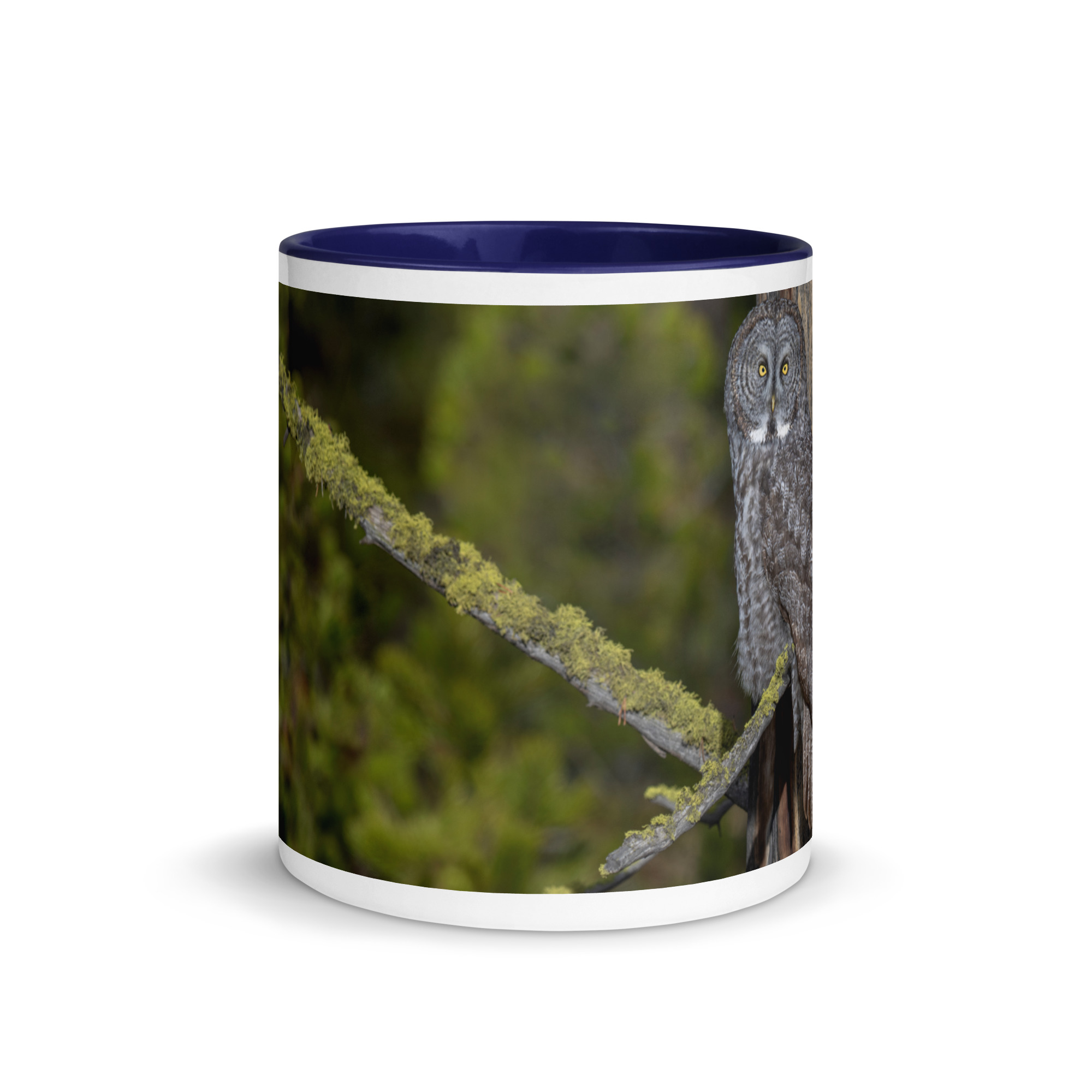 Great Grey Owl Basking in the Sun! Mug with Color Inside - Image 6