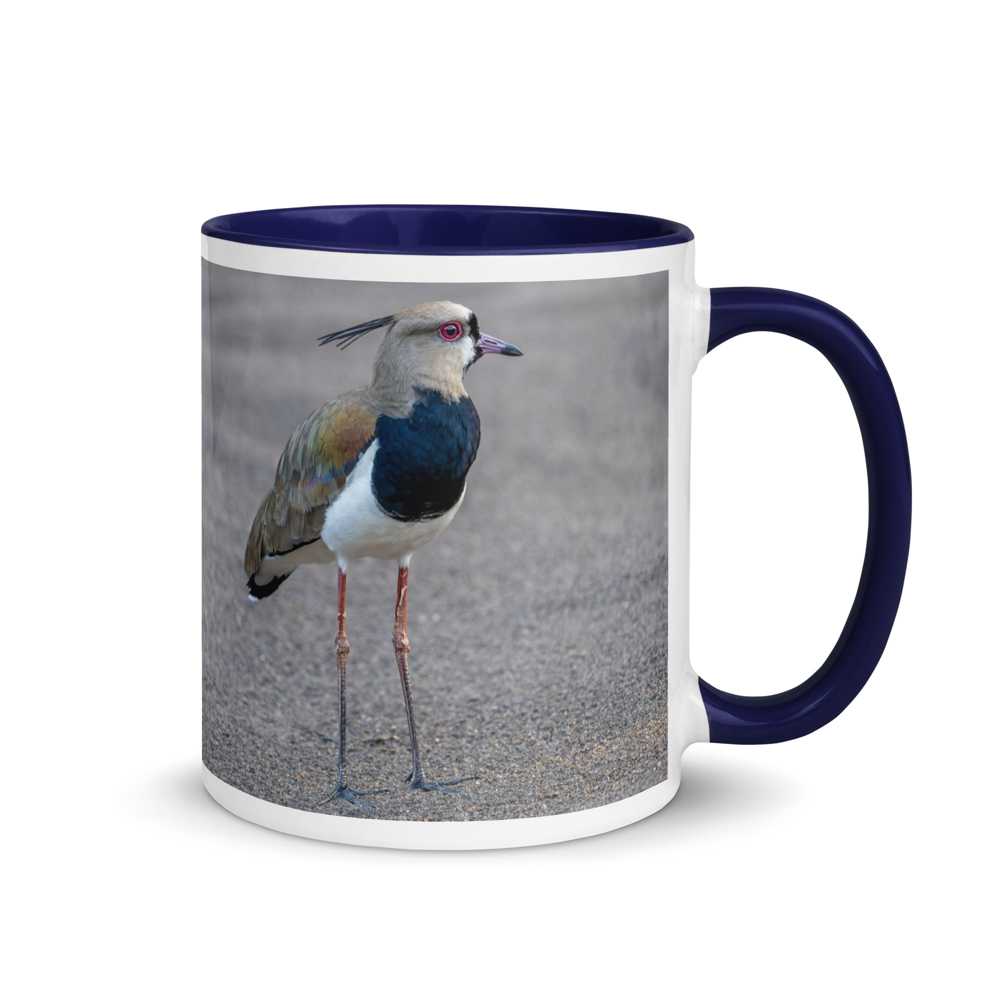 Southern lapwing! Mug with Color Inside - Image 5
