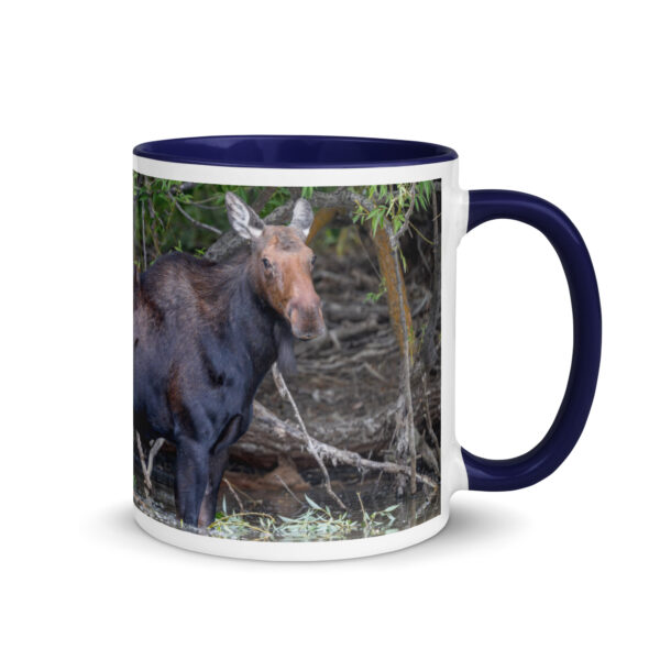 Portrait of a Mama Moose! Mug with Color Inside - Image 5
