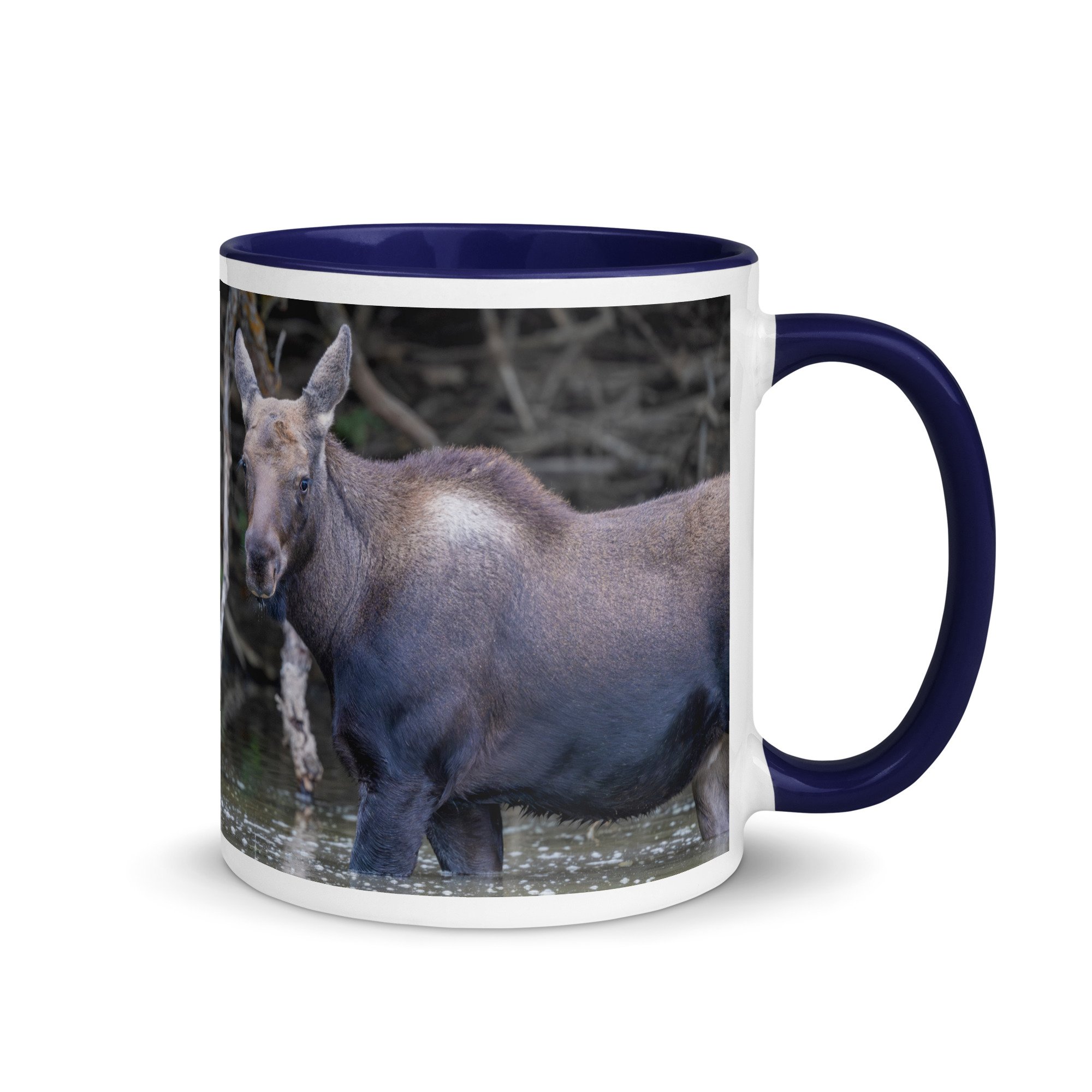 Baby Moose! Mug with Color Inside - Image 5