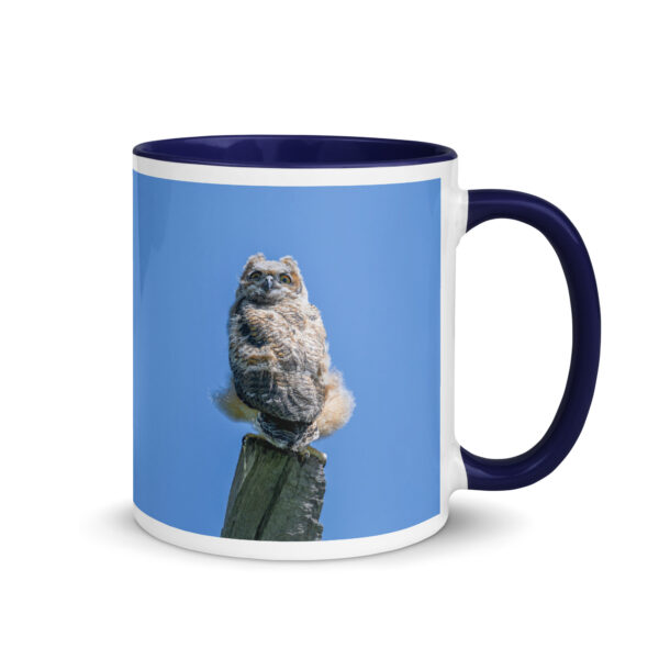 Baby Great horned owl!  Mug with Color Inside - Image 5