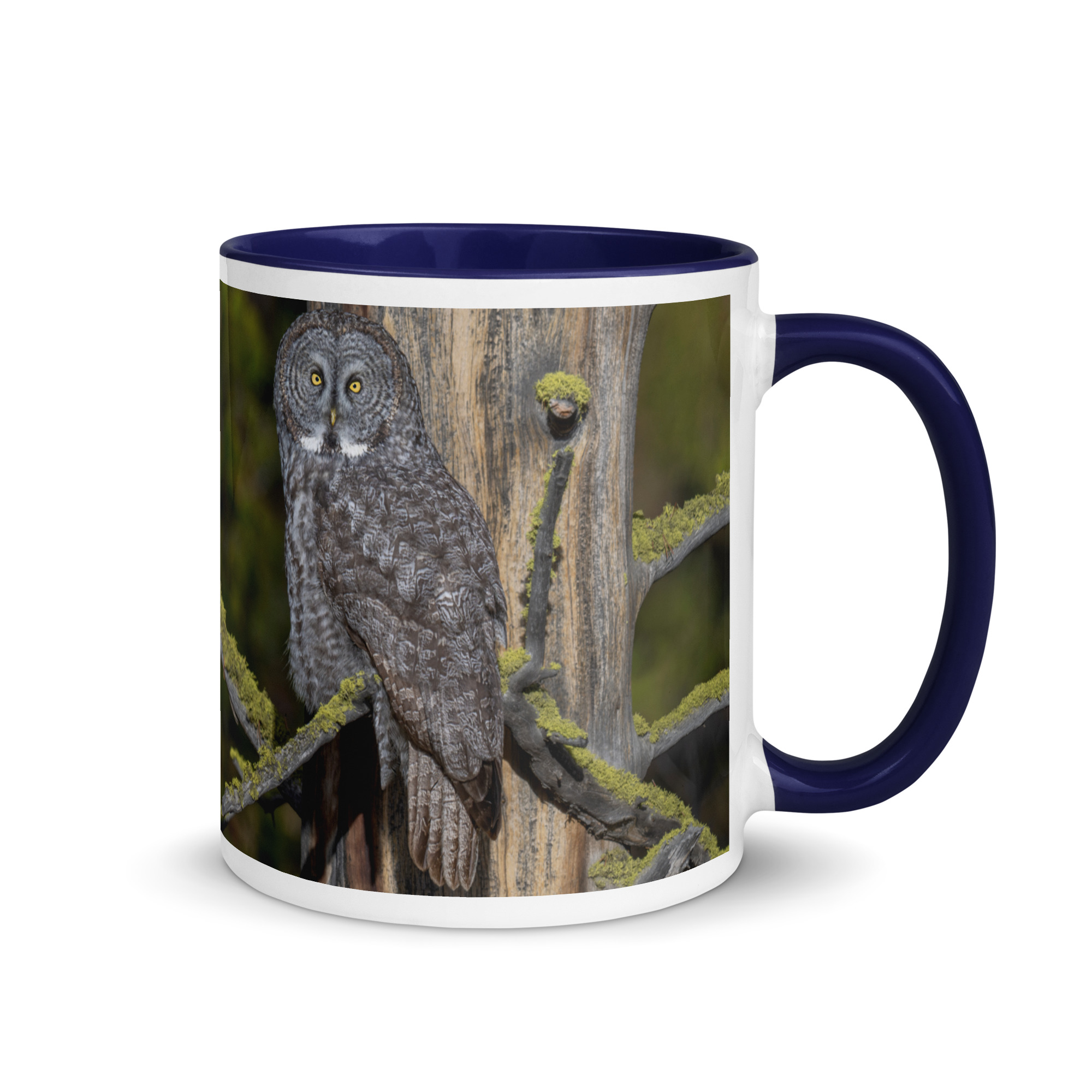 Great Grey Owl Basking in the Sun! Mug with Color Inside - Image 5