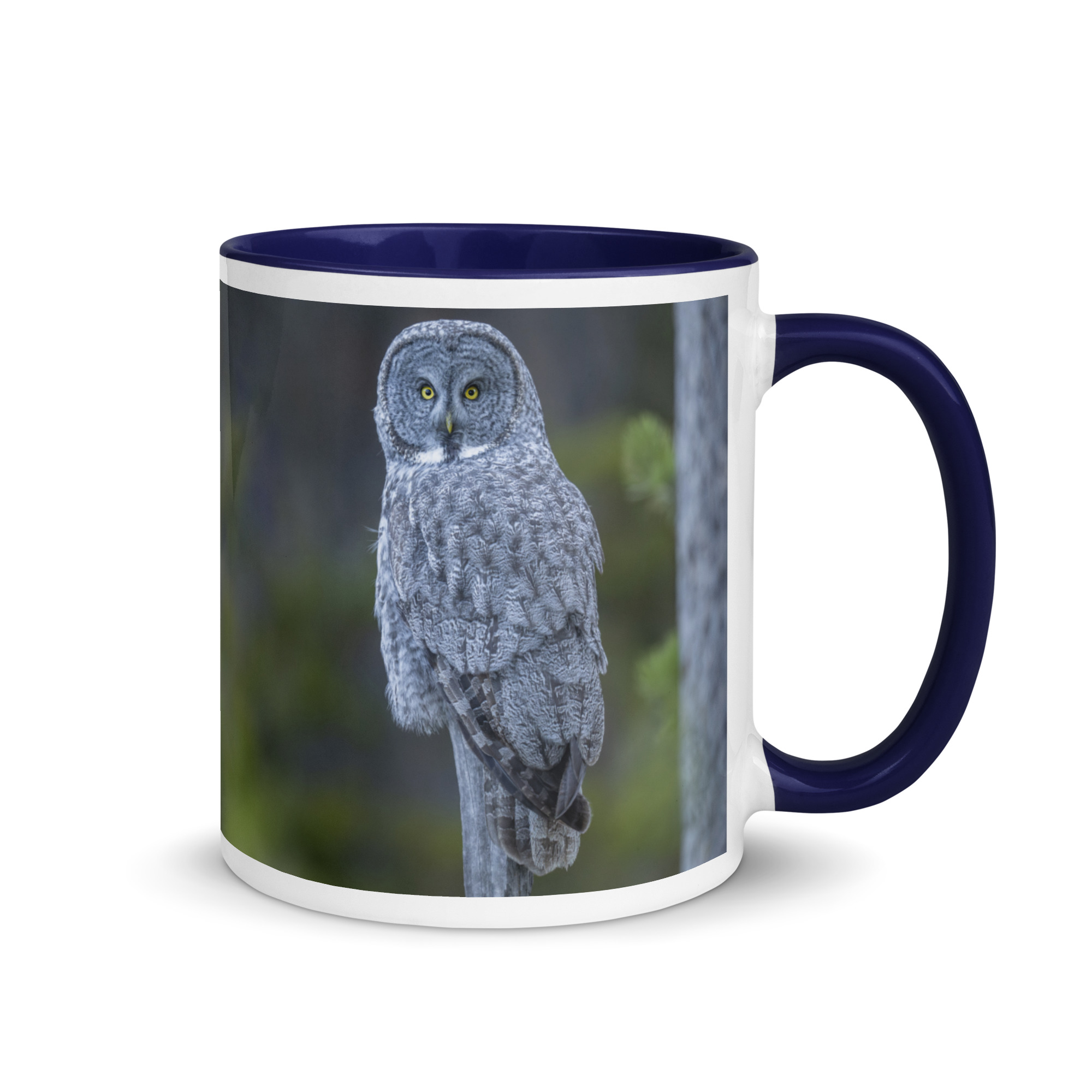 Great Grey Owl! Mug with Color Inside - Image 5
