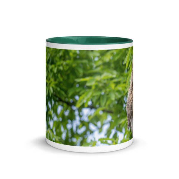 Baby Great horned owl! Mug with Color Inside - Image 11