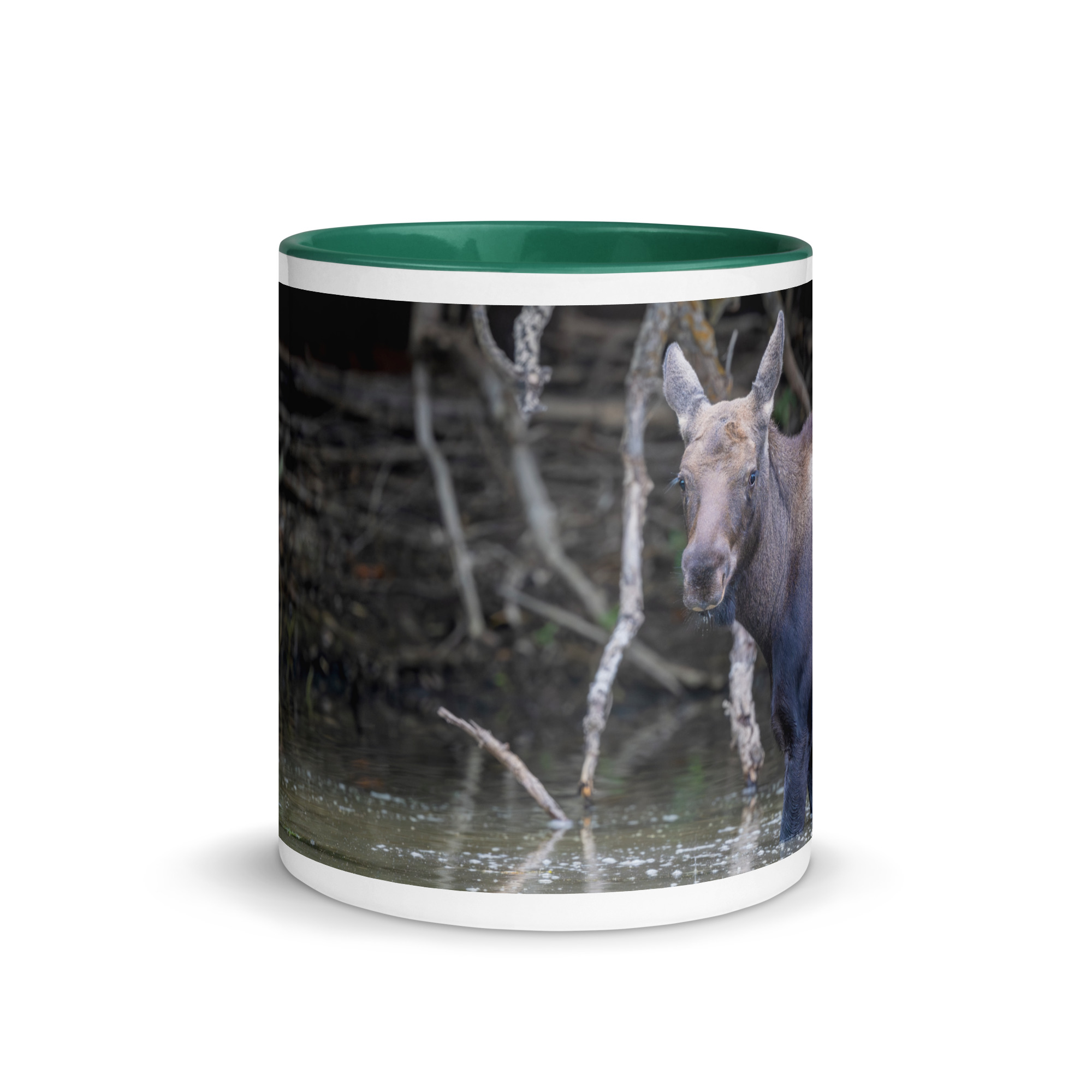 Baby Moose! Mug with Color Inside - Image 11
