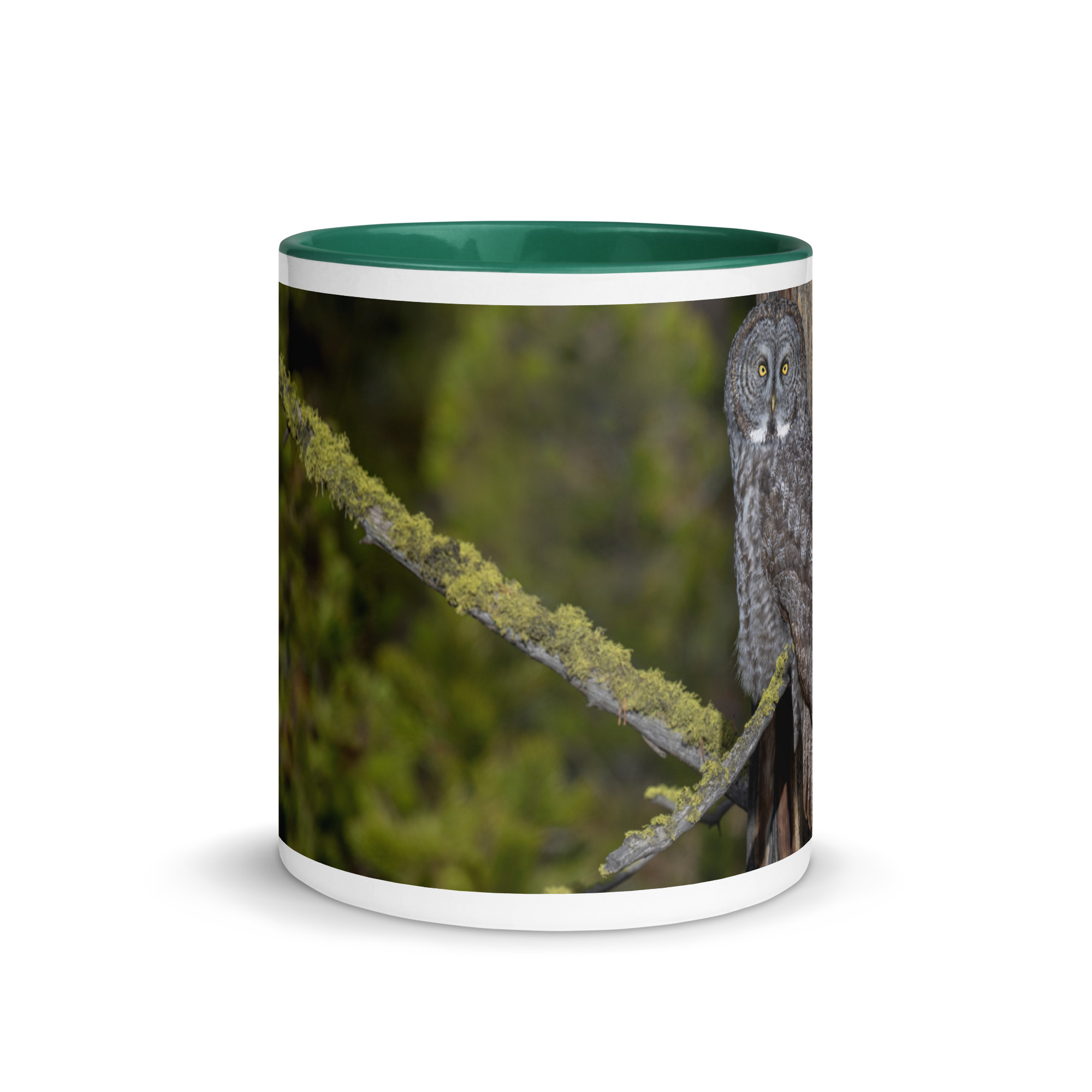 Great Grey Owl Basking in the Sun! Mug with Color Inside - Image 11