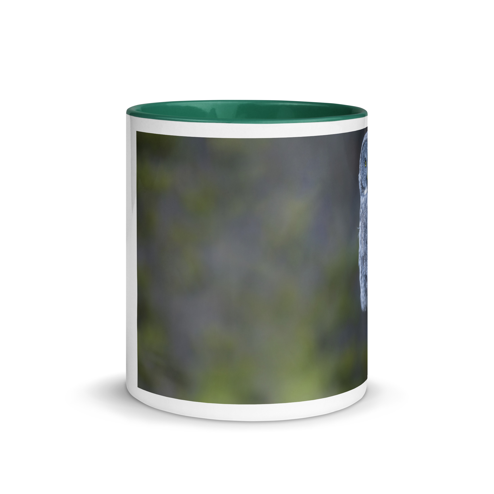 Great Grey Owl! Mug with Color Inside - Image 11