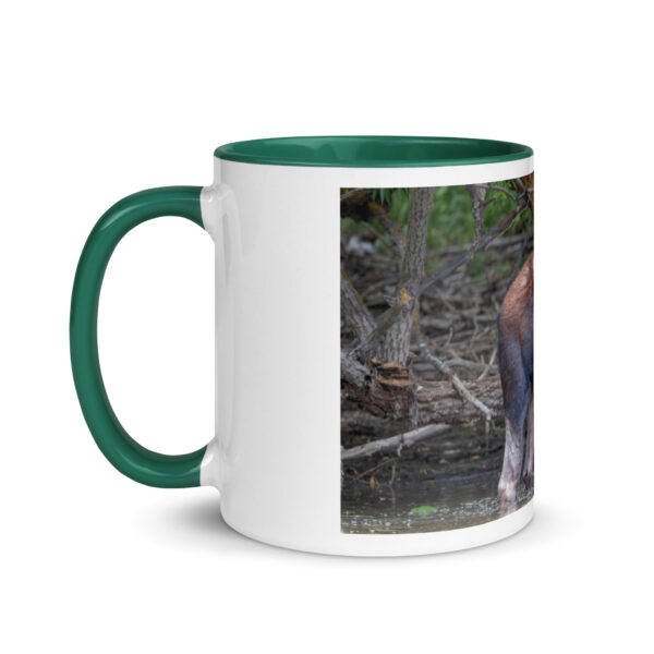 Portrait of a Mama Moose! Mug with Color Inside - Image 12