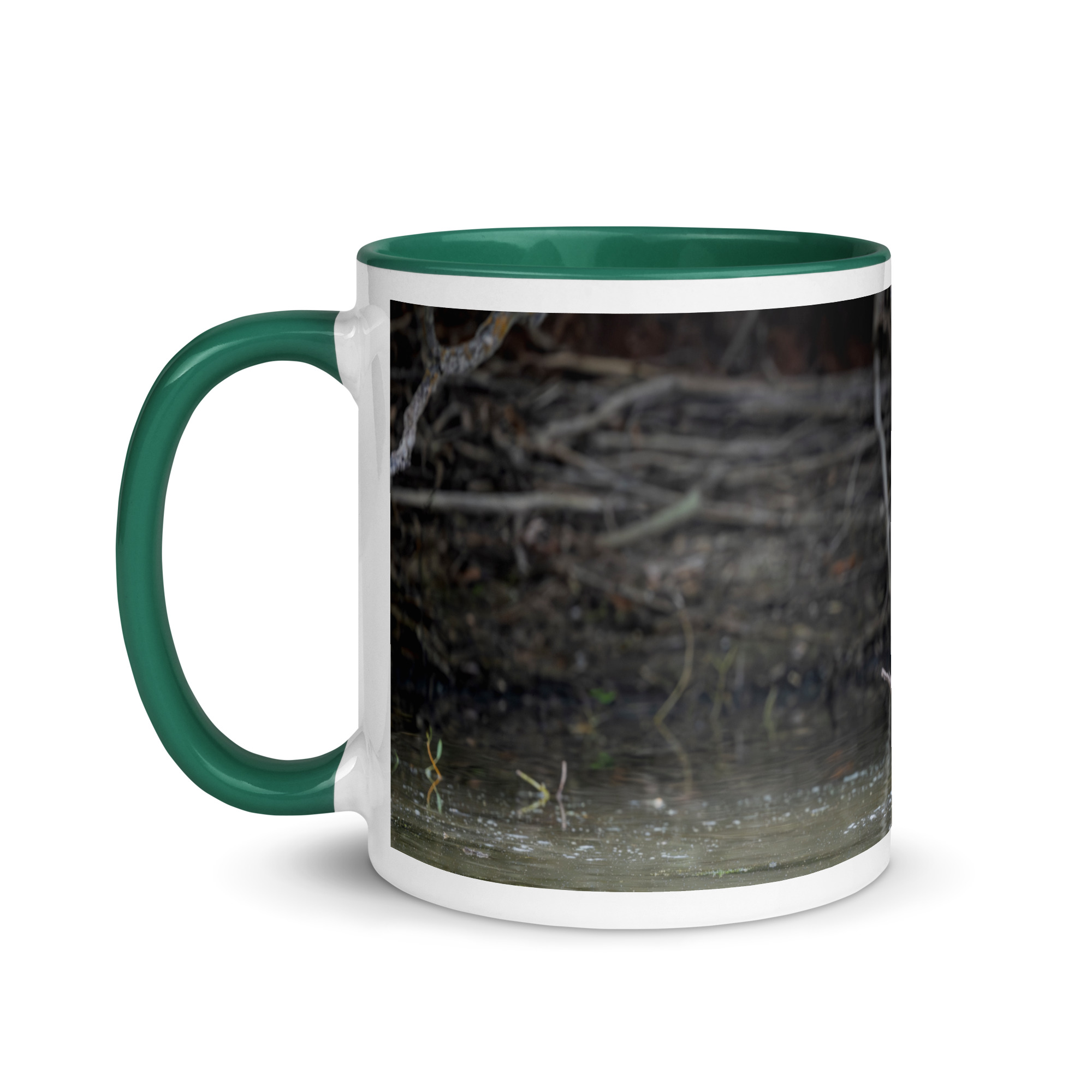 Baby Moose! Mug with Color Inside - Image 12