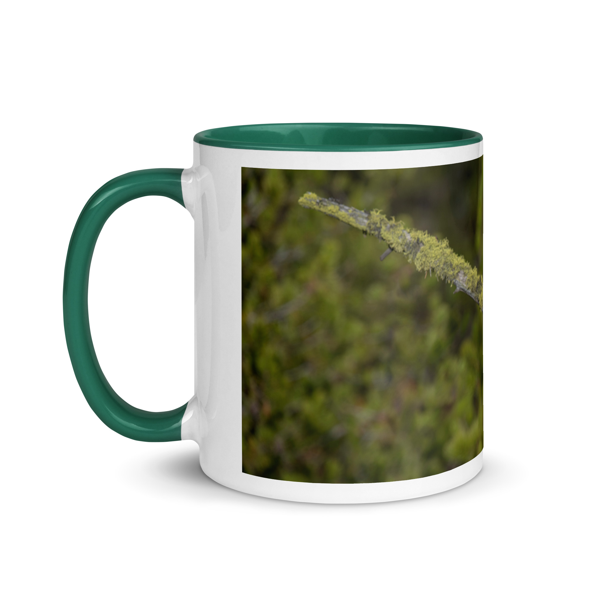 Great Grey Owl Basking in the Sun! Mug with Color Inside - Image 12