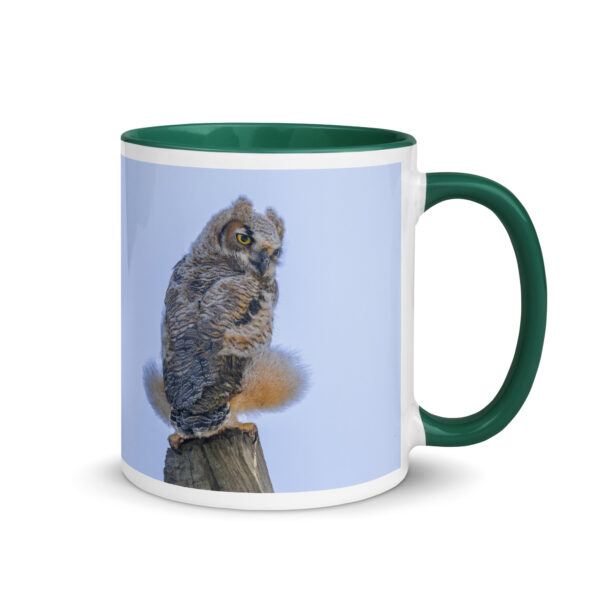 Baby Great Horned Owl! Mug with Color Inside - Image 10
