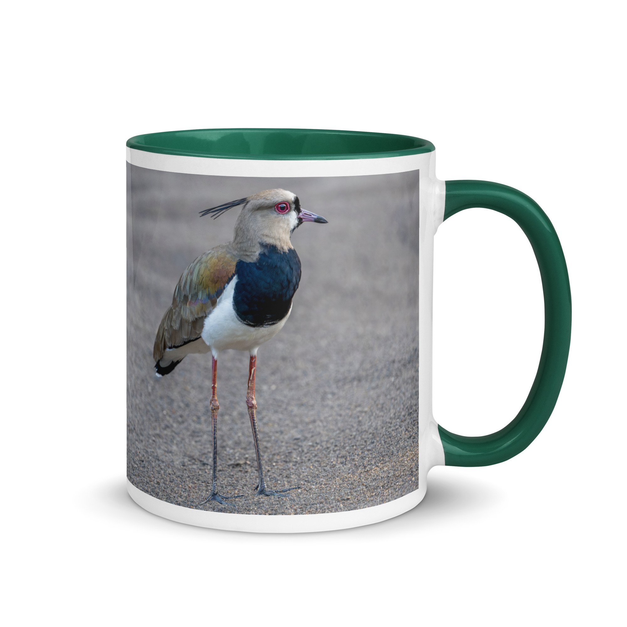 Southern lapwing! Mug with Color Inside - Image 10