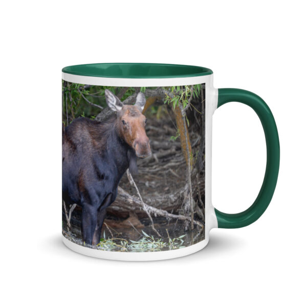 Portrait of a Mama Moose! Mug with Color Inside - Image 10