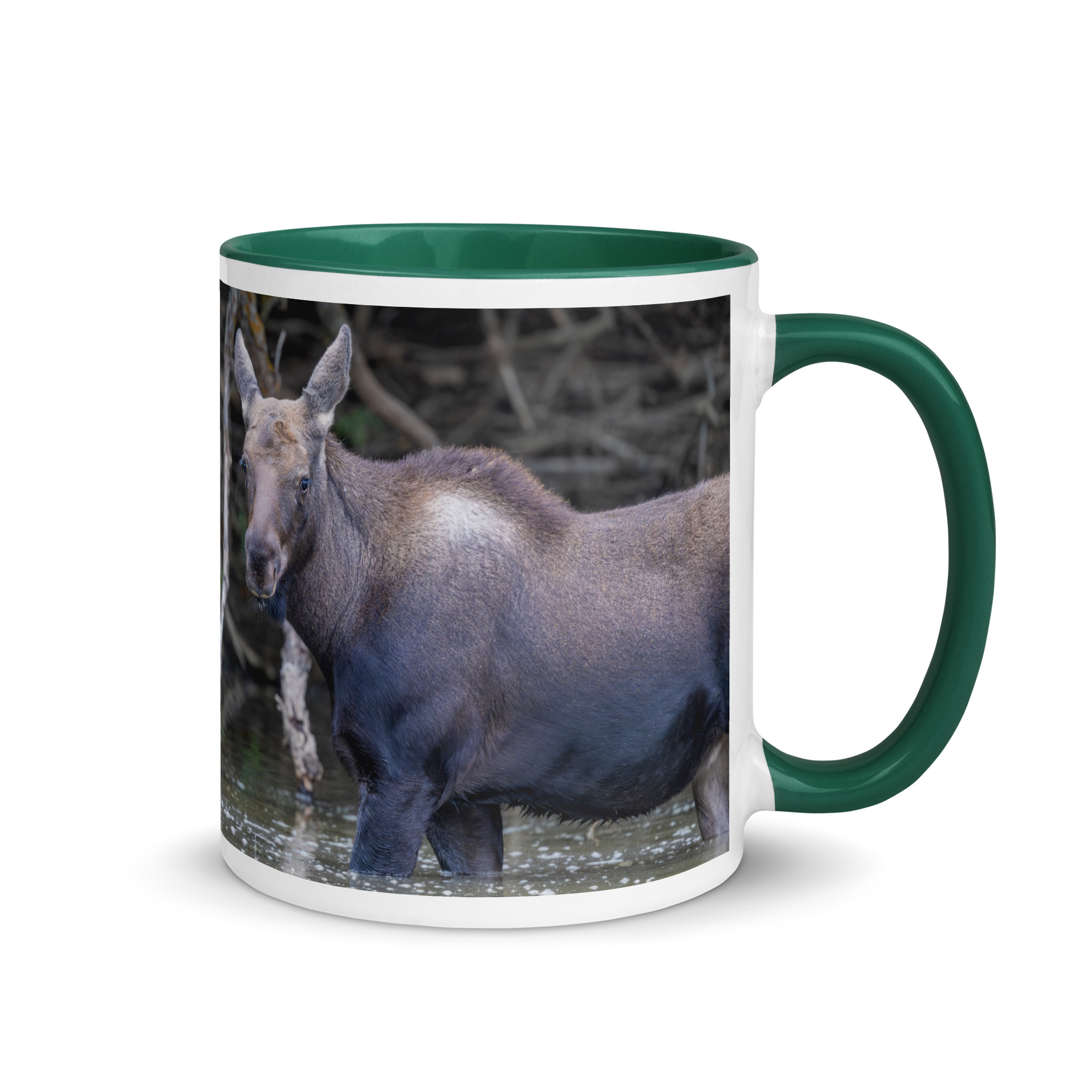 Baby Moose! Mug with Color Inside - Image 10