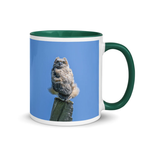 Baby Great horned owl!  Mug with Color Inside - Image 10