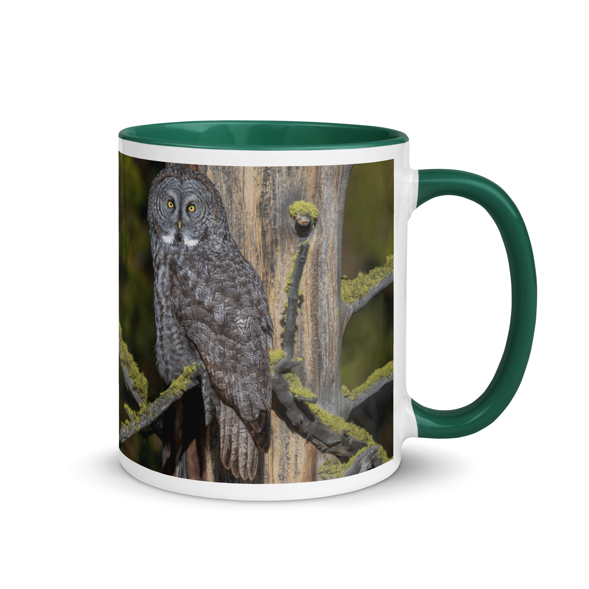 Great Grey Owl Basking in the Sun! Mug with Color Inside - Image 10