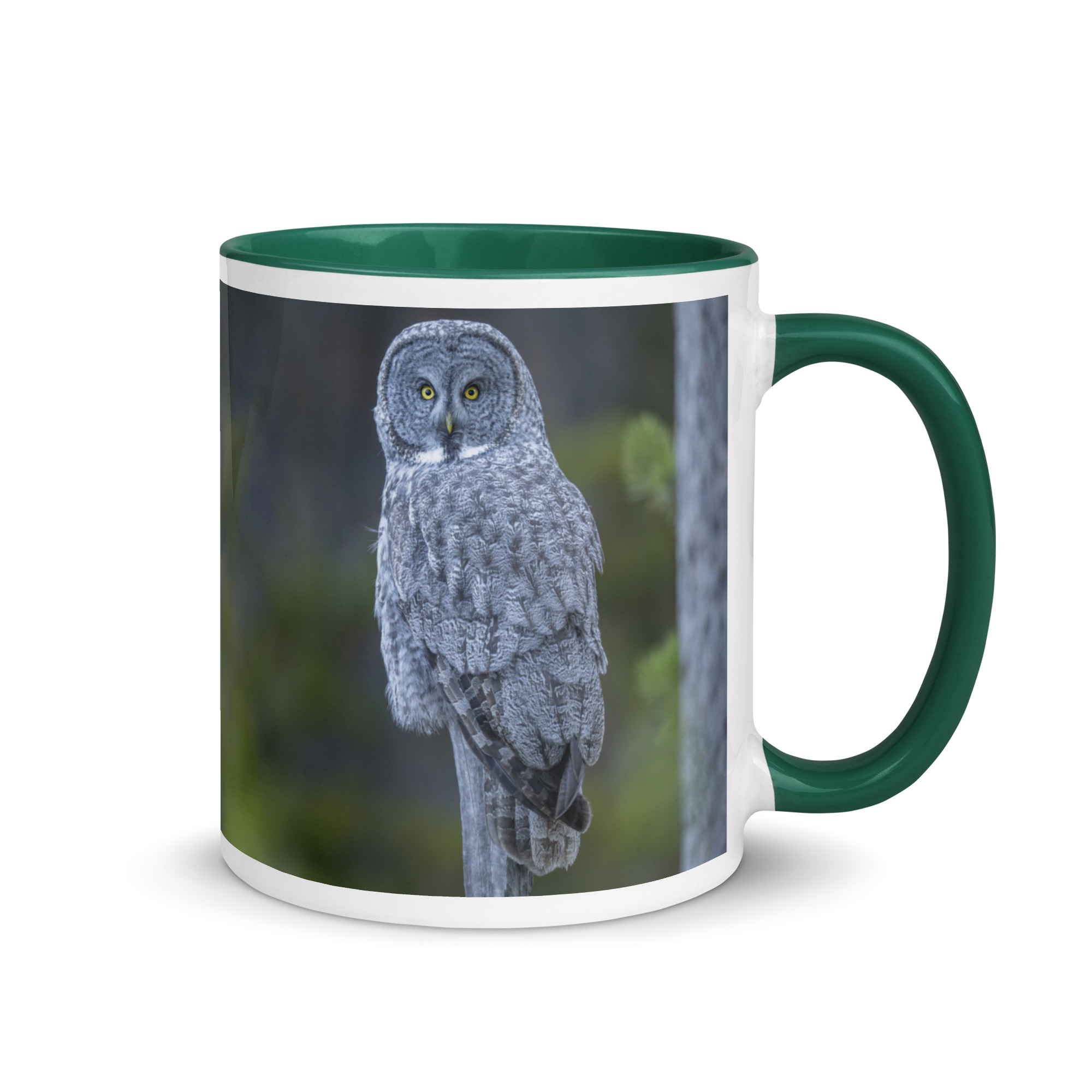 Great Grey Owl! Mug with Color Inside - Image 10