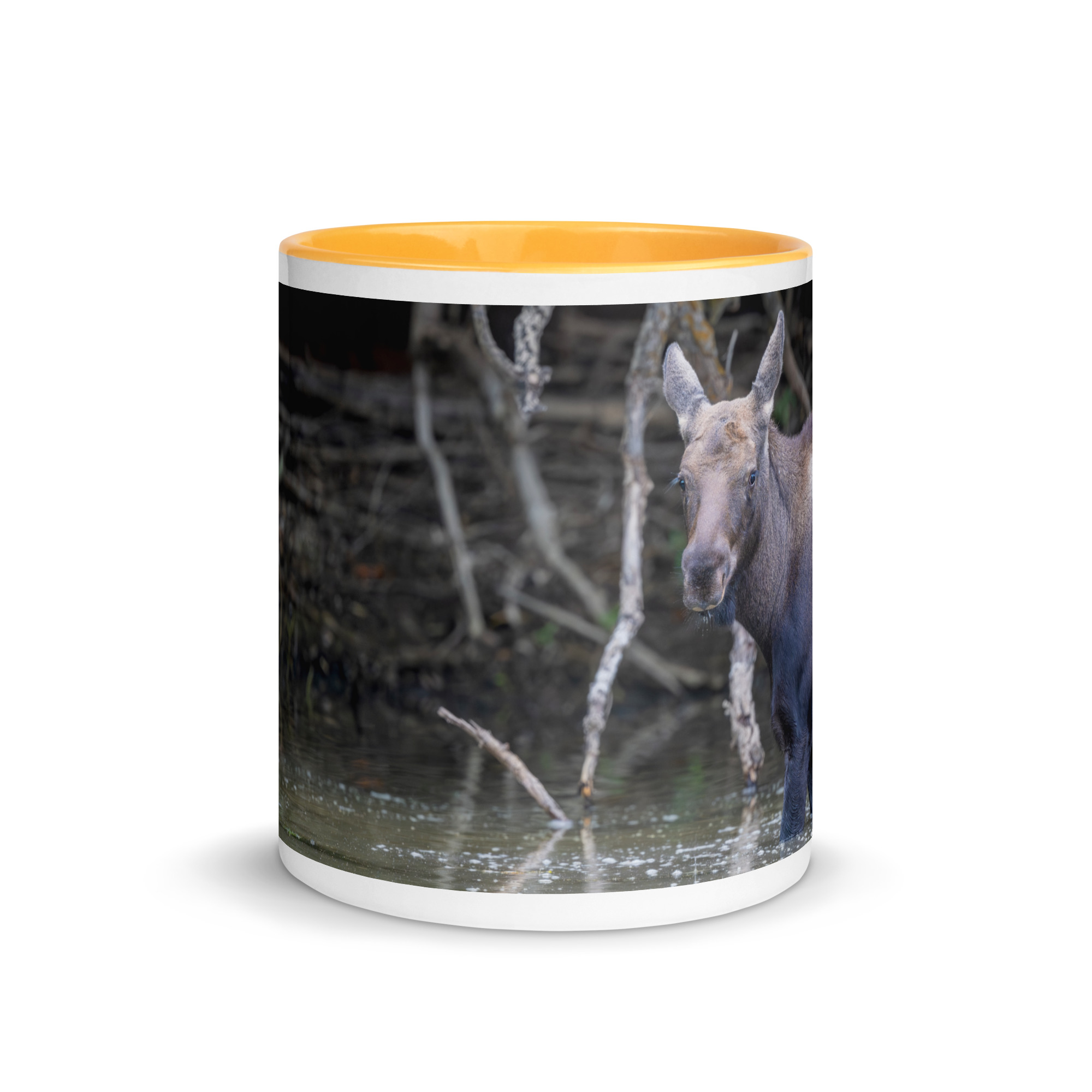 Baby Moose! Mug with Color Inside - Image 23