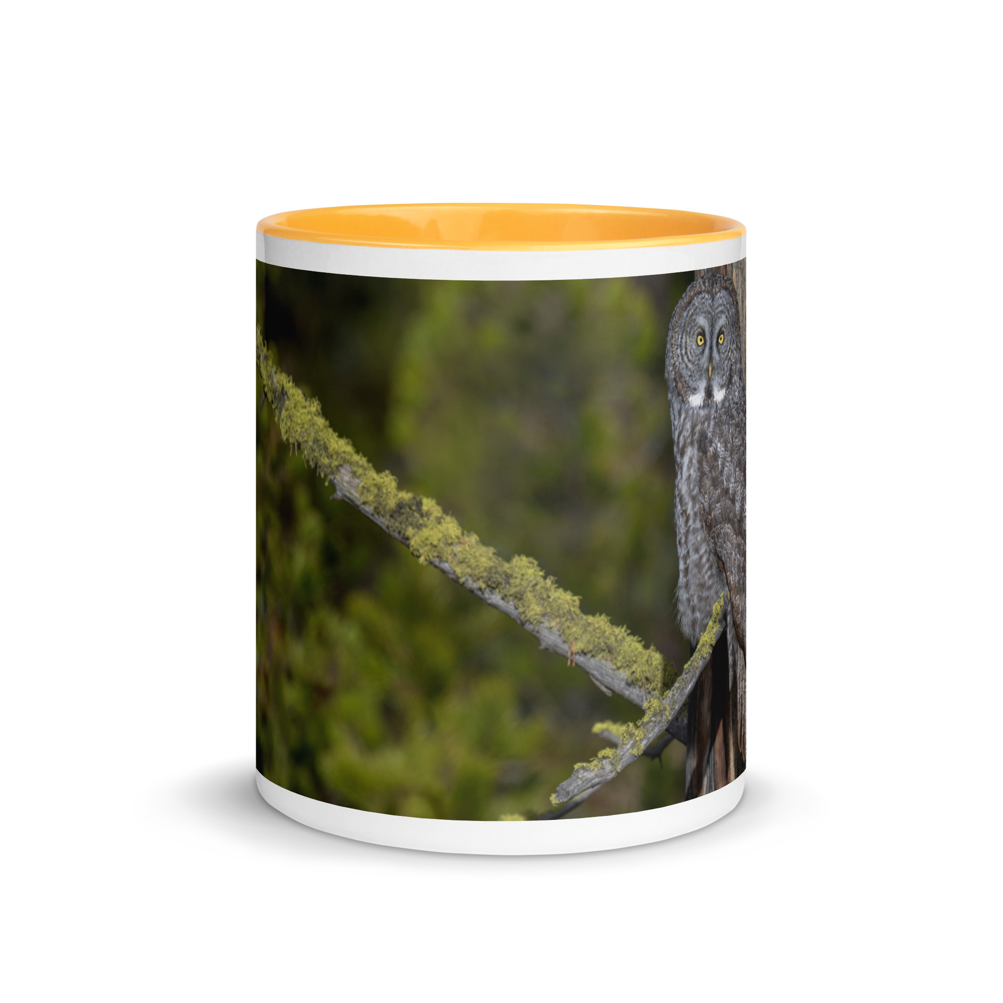 Great Grey Owl Basking in the Sun! Mug with Color Inside - Image 23