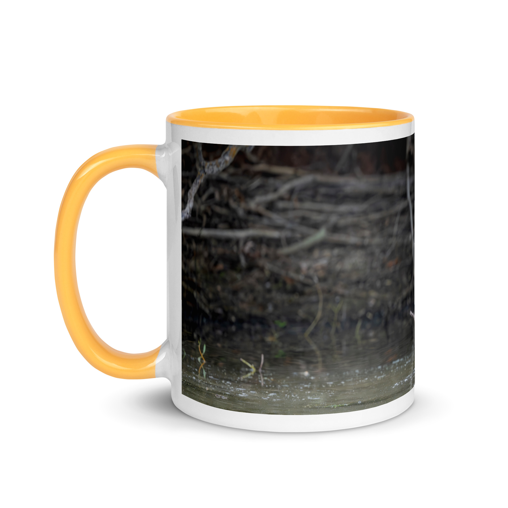 Baby Moose! Mug with Color Inside - Image 24