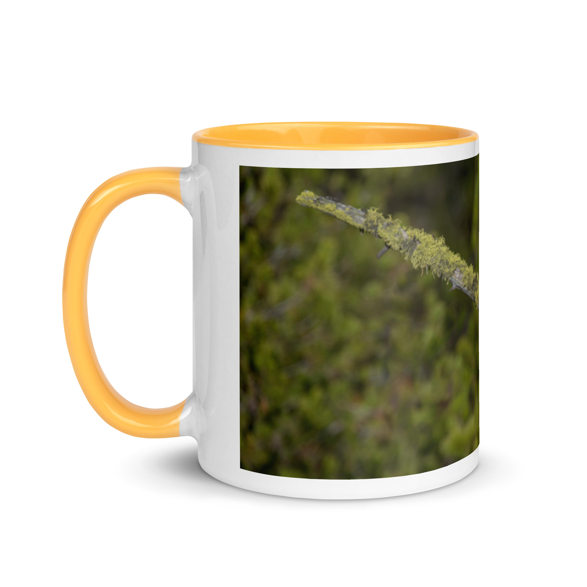Great Grey Owl Basking in the Sun! Mug with Color Inside - Image 24