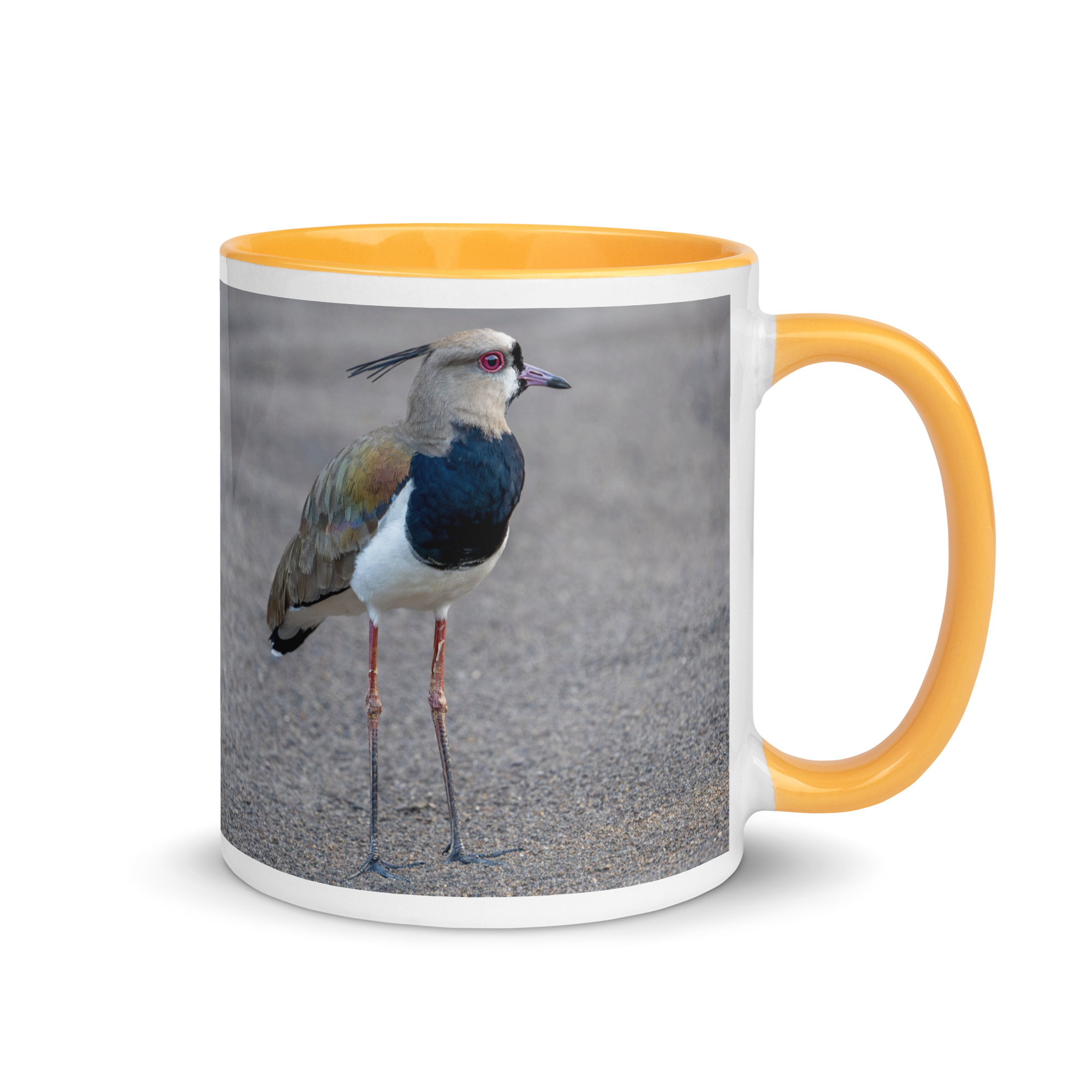 Southern lapwing! Mug with Color Inside - Image 22