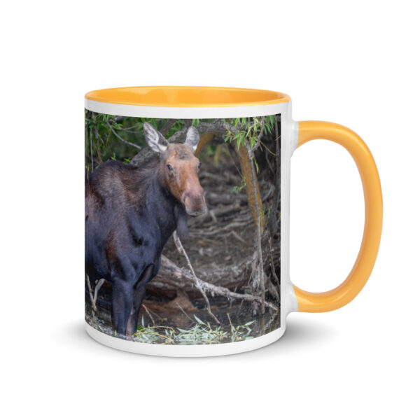 Portrait of a Mama Moose! Mug with Color Inside - Image 22