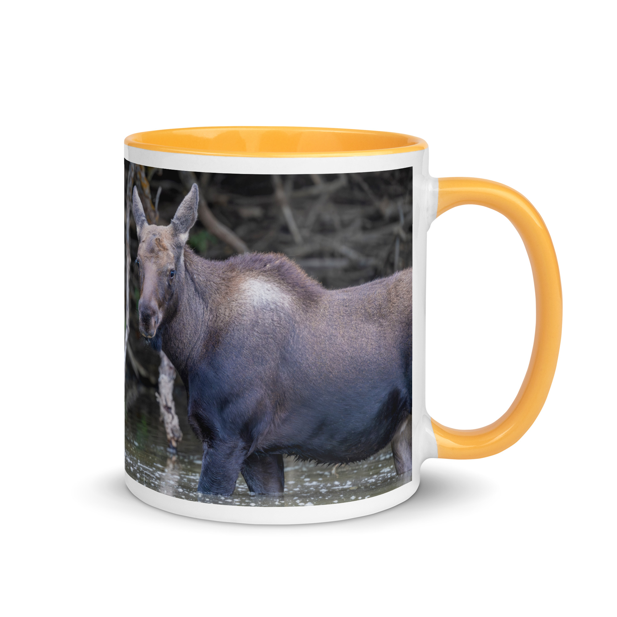 Baby Moose! Mug with Color Inside - Image 22