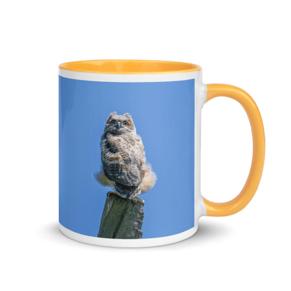 Baby Great horned owl!  Mug with Color Inside - Image 22