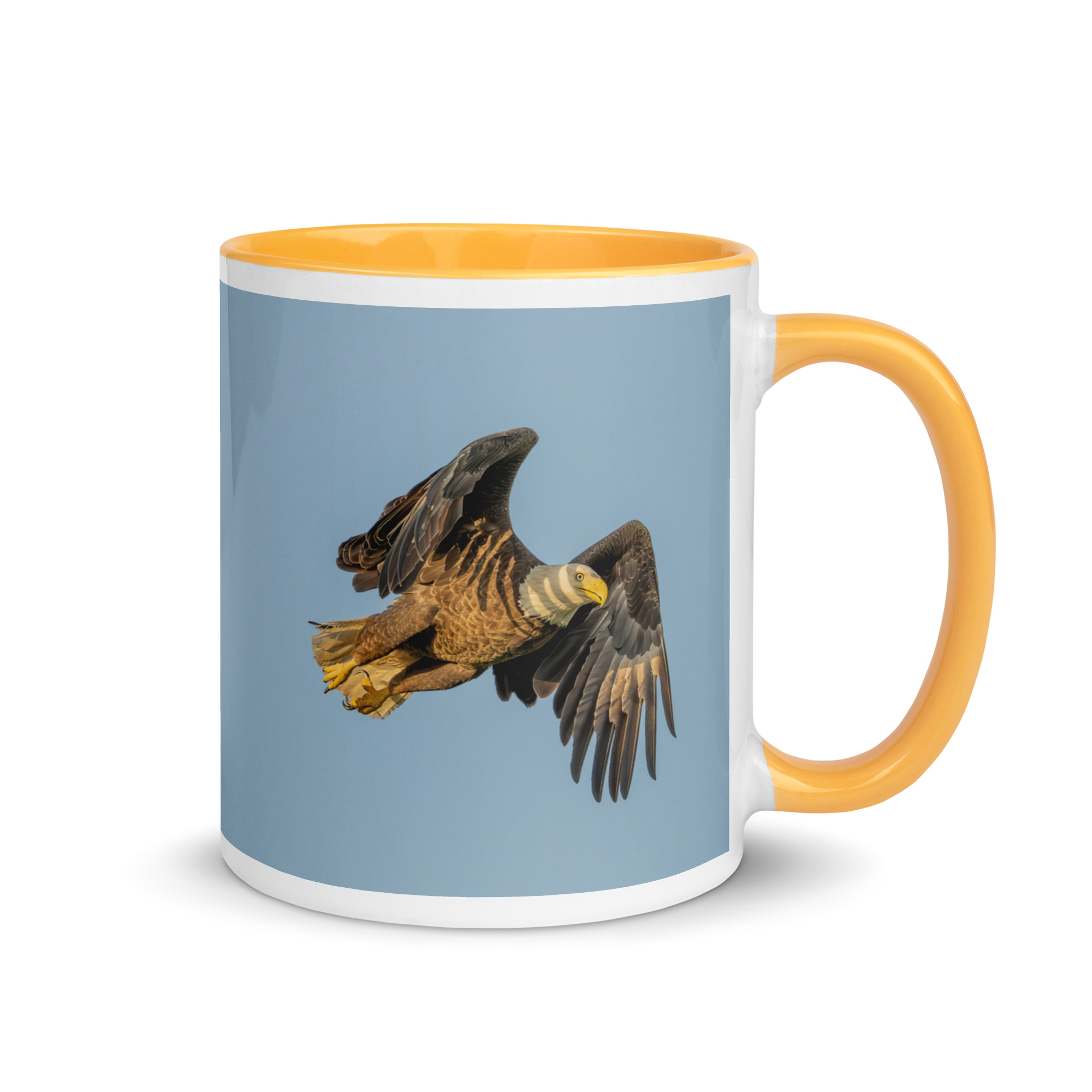 Bald Eagle in Flight at Sunrise! Mug with Color Inside - Image 22