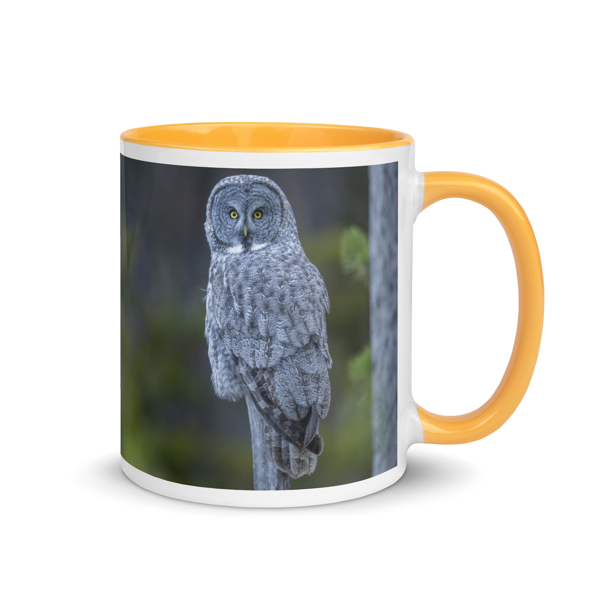 Great Grey Owl! Mug with Color Inside - Image 22