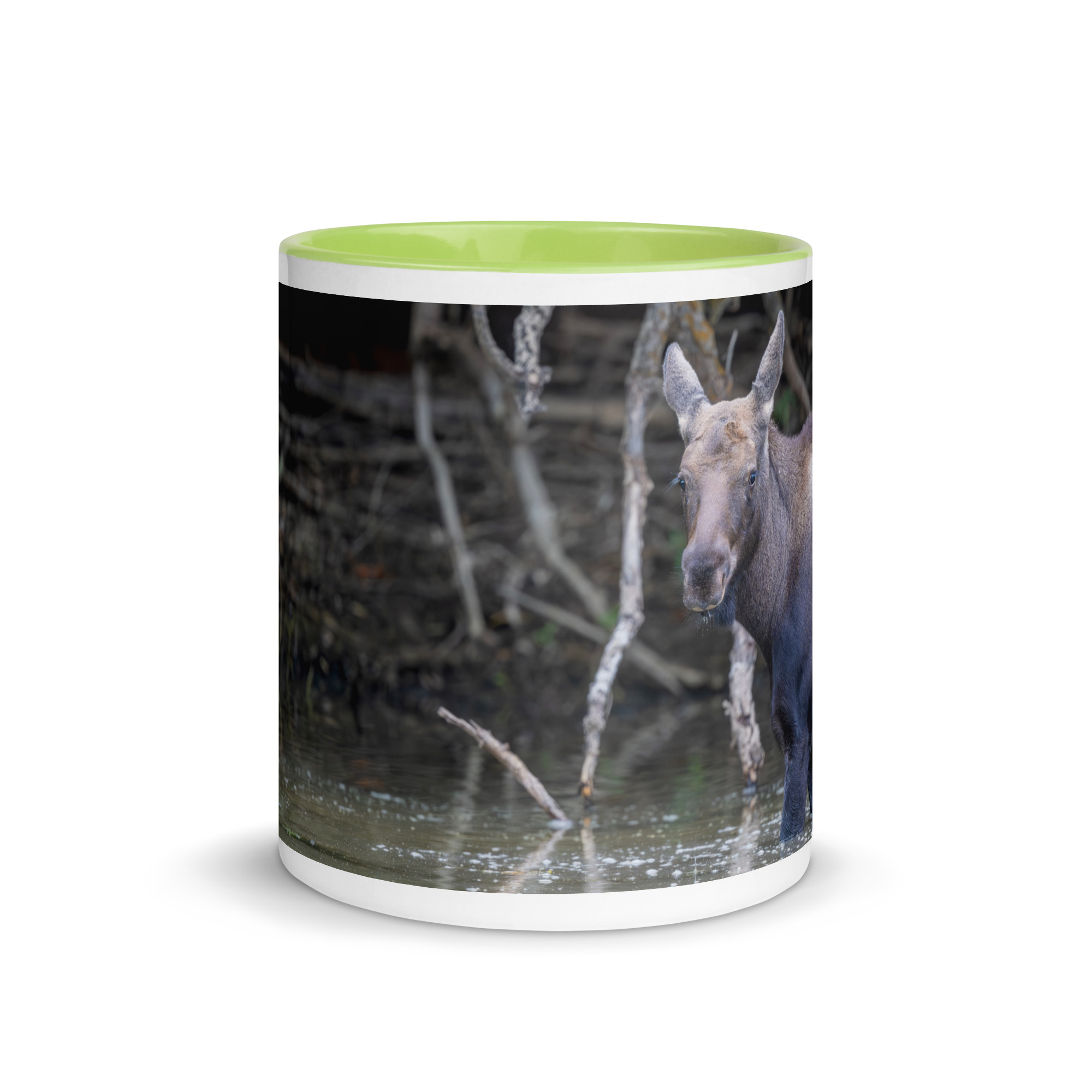 Baby Moose! Mug with Color Inside - Image 26