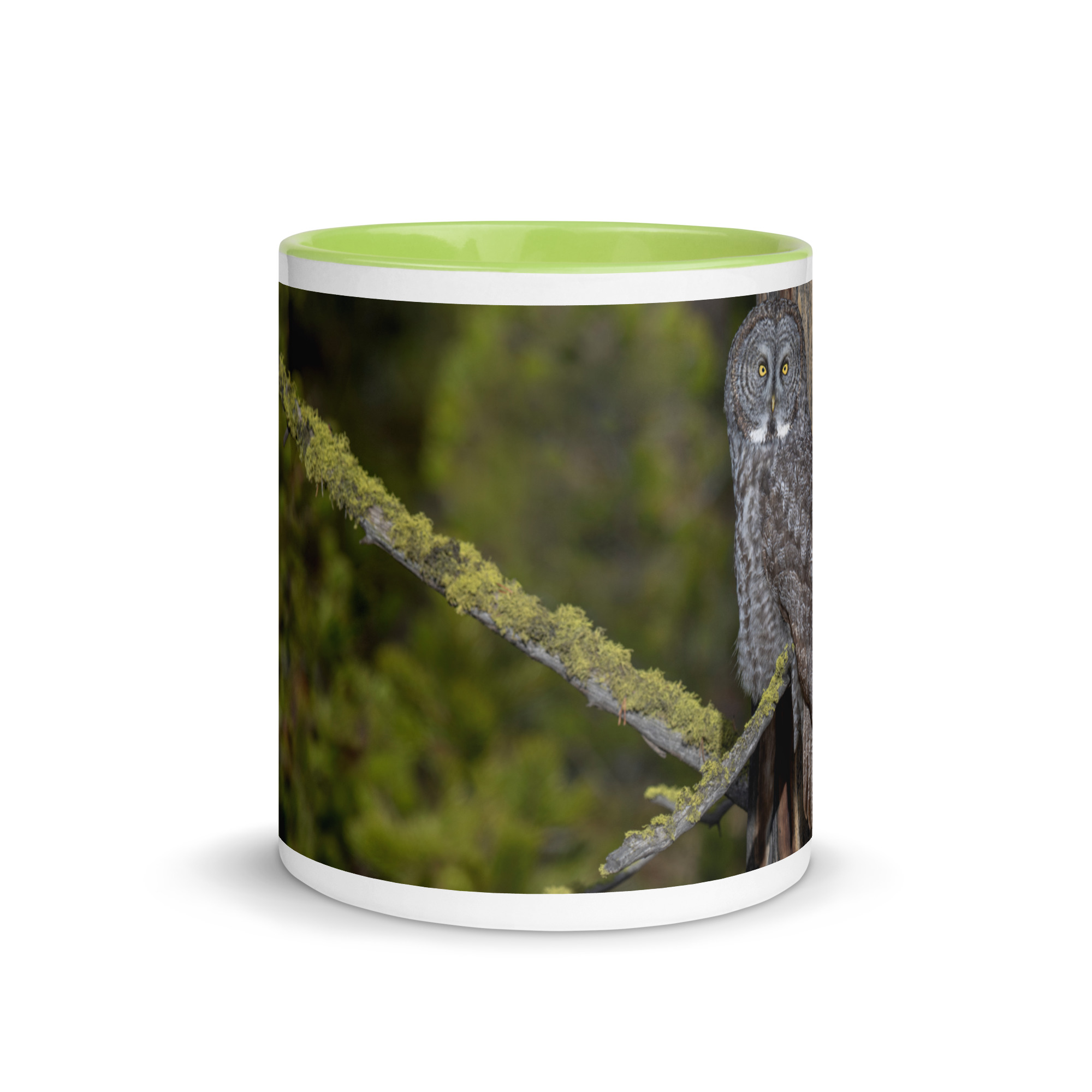 Great Grey Owl Basking in the Sun! Mug with Color Inside - Image 26