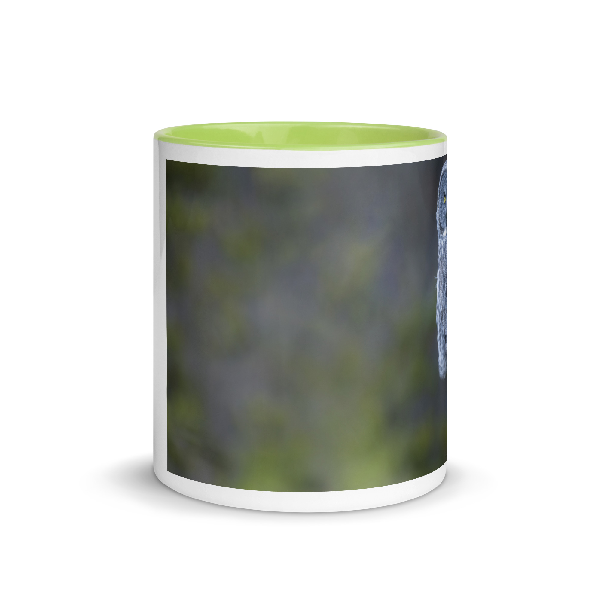 Great Grey Owl! Mug with Color Inside - Image 26