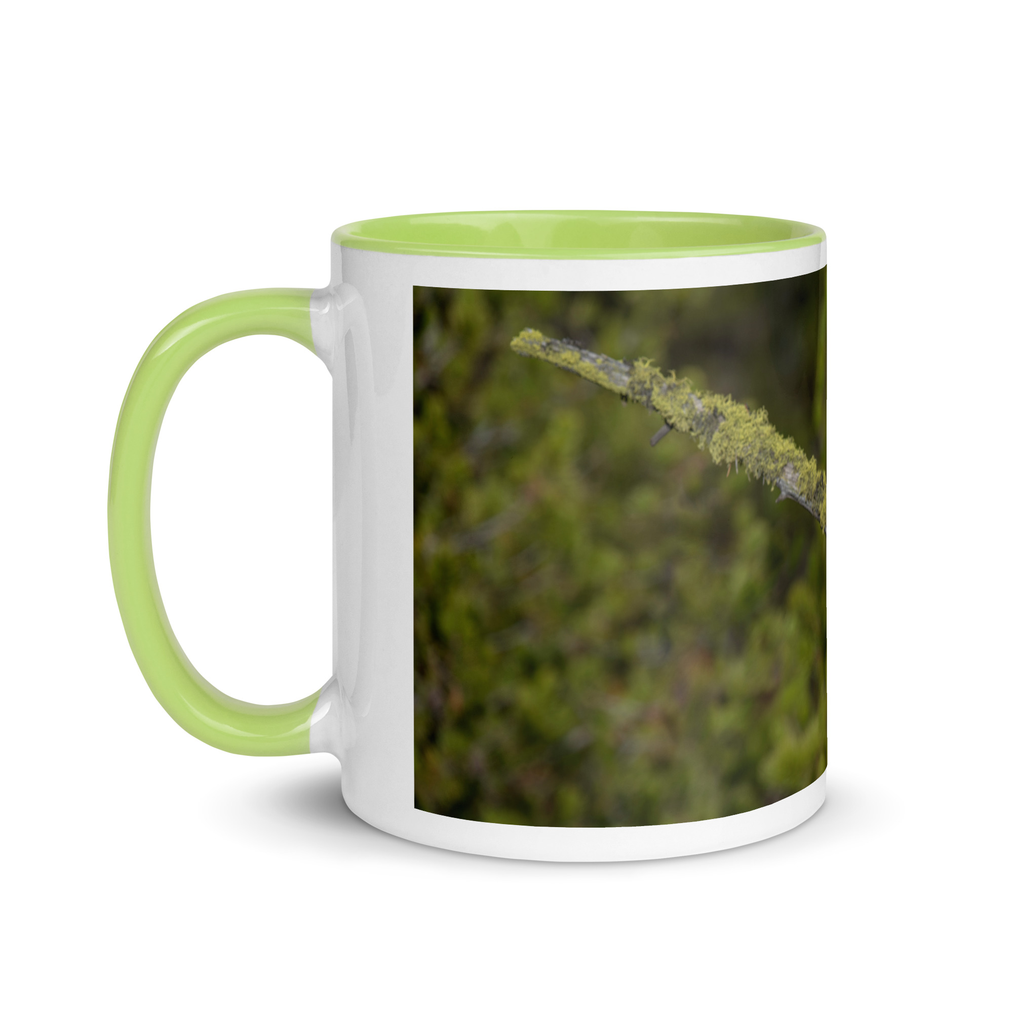 Great Grey Owl Basking in the Sun! Mug with Color Inside - Image 27