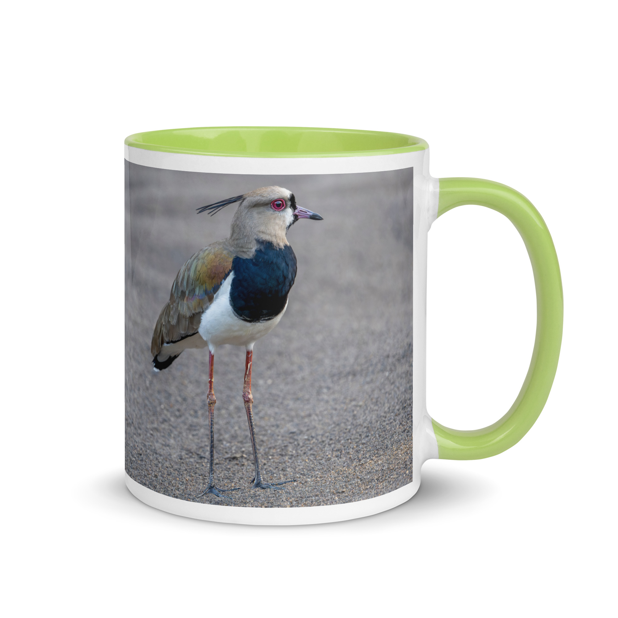Southern lapwing! Mug with Color Inside - Image 25
