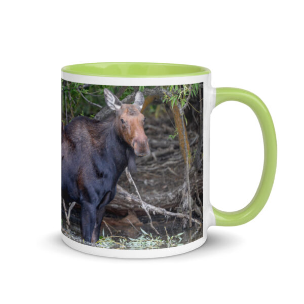 Portrait of a Mama Moose! Mug with Color Inside - Image 25