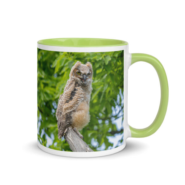 Baby Great horned owl! Mug with Color Inside - Image 25