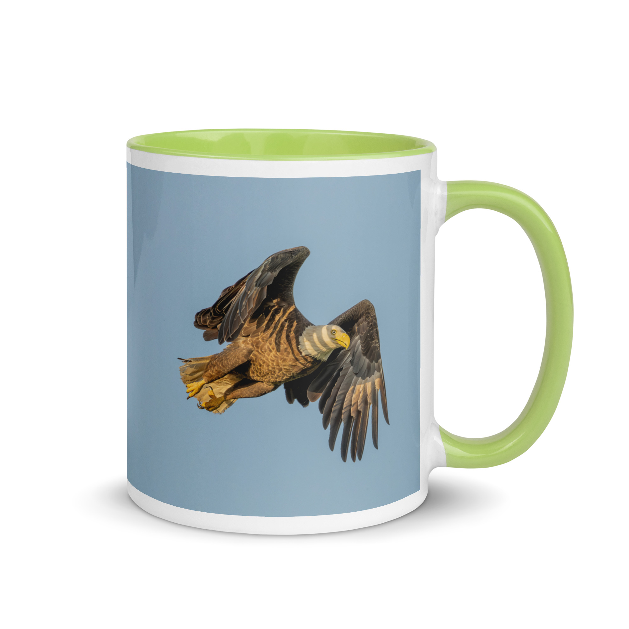 Bald Eagle in Flight at Sunrise! Mug with Color Inside - Image 25