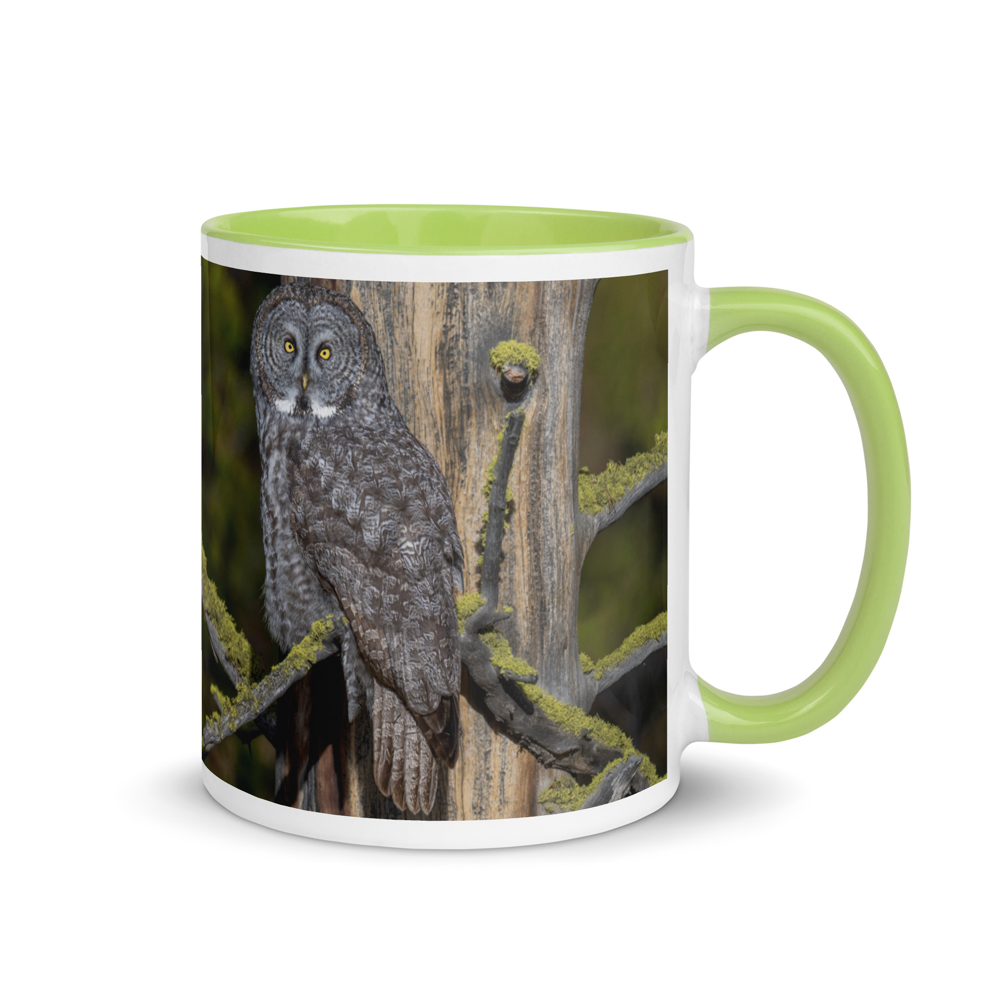 Great Grey Owl Basking in the Sun! Mug with Color Inside - Image 25