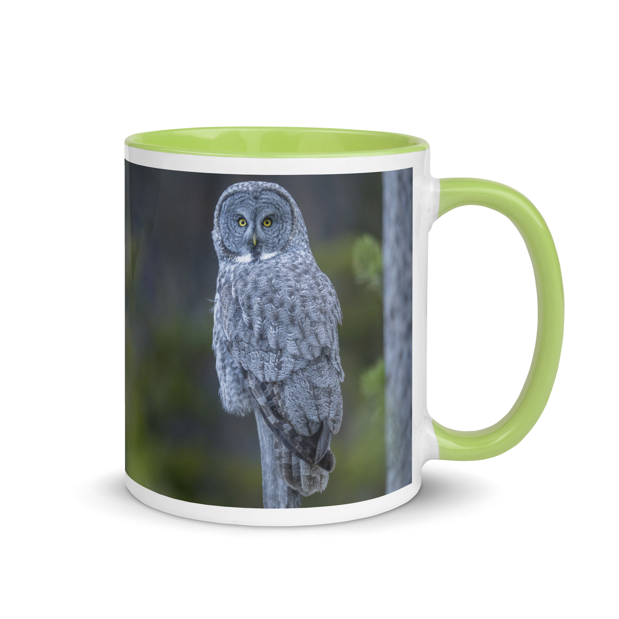 Great Grey Owl! Mug with Color Inside - Image 25