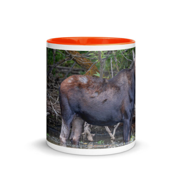Portrait of a Mama Moose! Mug with Color Inside - Image 14