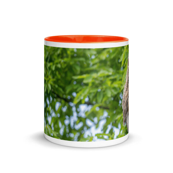 Baby Great horned owl! Mug with Color Inside - Image 14