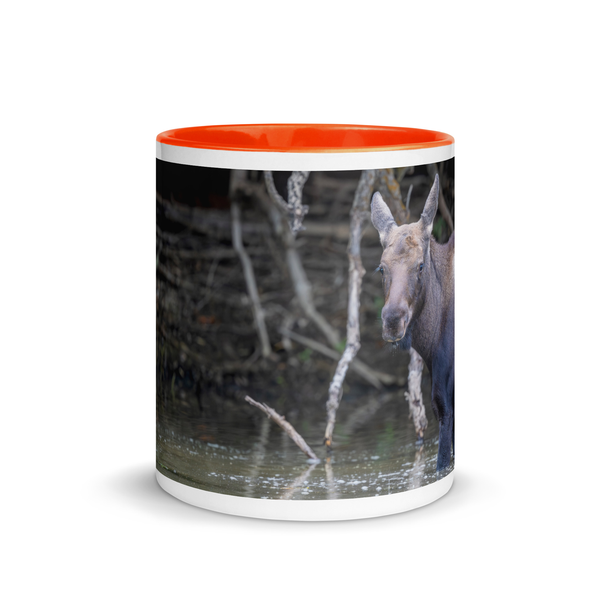 Baby Moose! Mug with Color Inside - Image 14